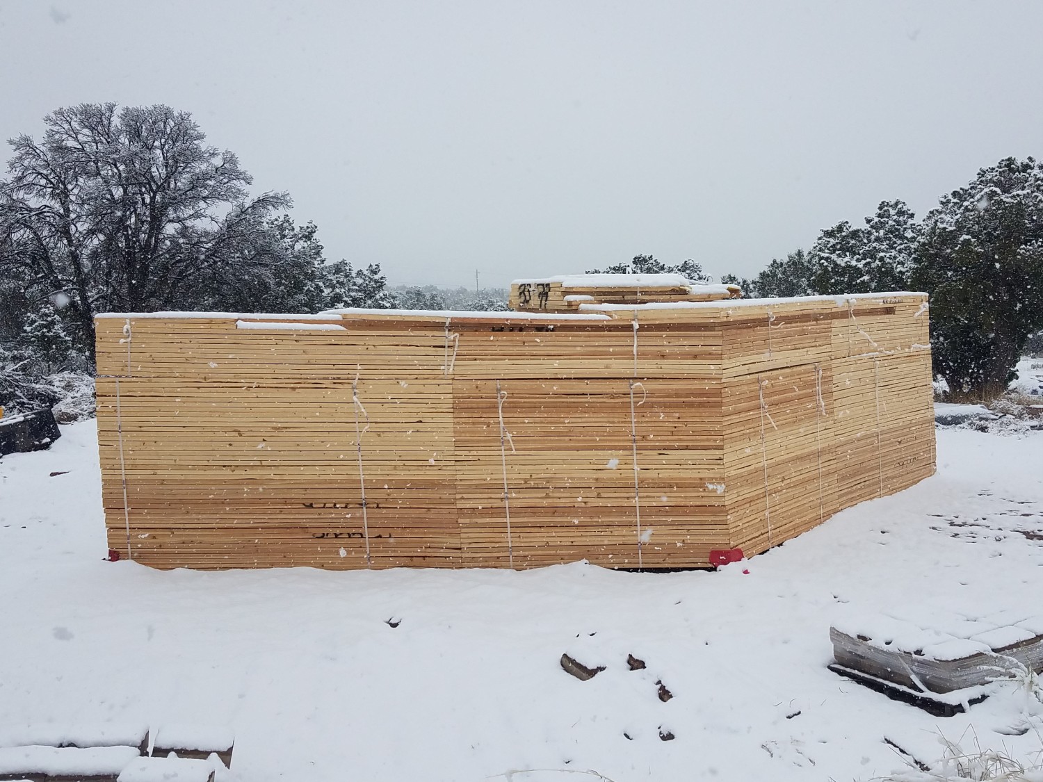 trusses in the snow
